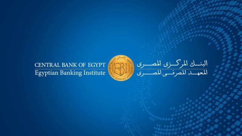 Internship Program at The Egyptian Banking Institute