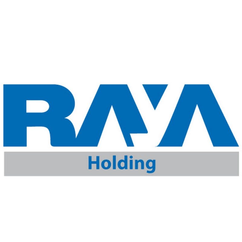 Internal Auditor at Raya Holding for Financial Investments