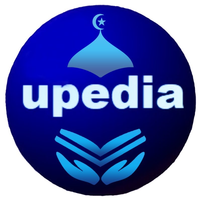 Media Buyer at Upedia