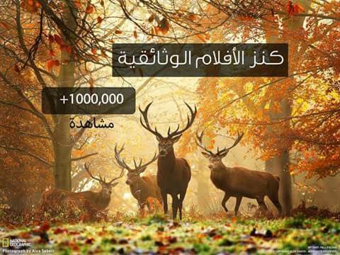 100 فيديو لازم تتفرج عليهم..