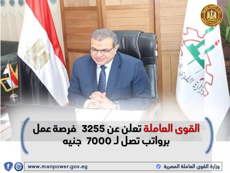 القوى العاملة تعلن عن 3255 فرصة عمل برواتب تصل لـ 7000 جنيه