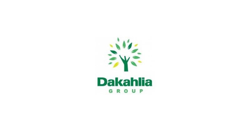 General Accountant,Dakahlia group