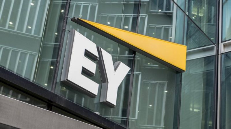 EY Cairo Tax Graduate Program