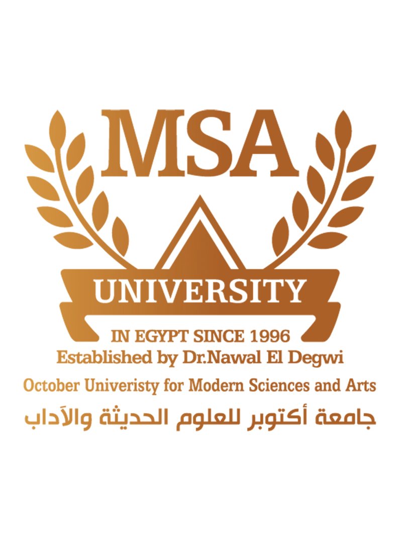 General Accountant at MSA