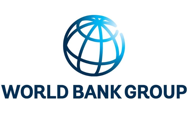 Investment Analyst at World Bank Group