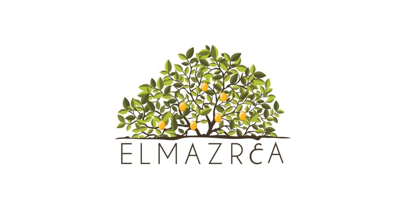 Customer Service Representative at Elmazr3a