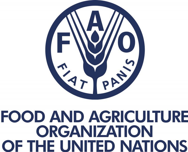 Procurement Assistant,FAO