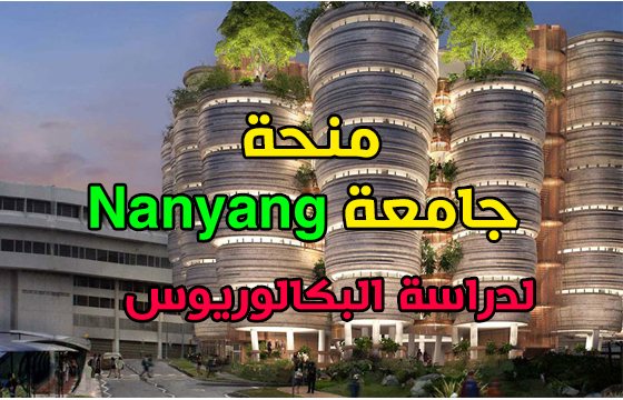 منحة سنغافورة جامعة Nanyang ممولة بالكامل