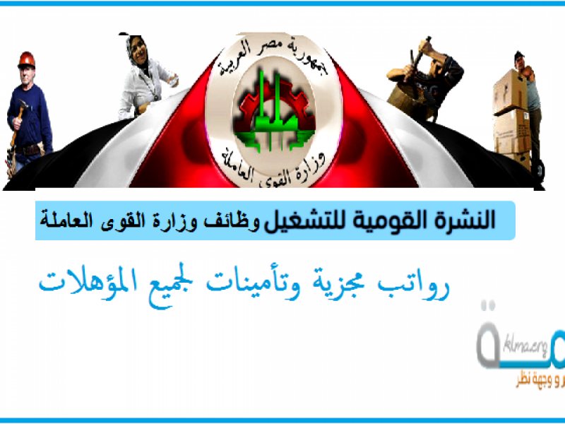 القوى العاملة تعلن عن 3255 فرصة عمل برواتب تصل لـ 7000 جنيه